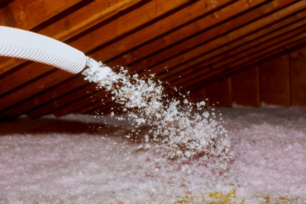 Best Residential Insulation in Randolph, WI